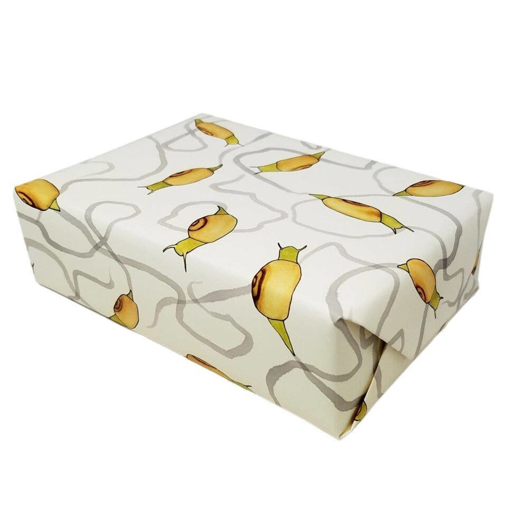 Fun and Fresh Wrapping Paper