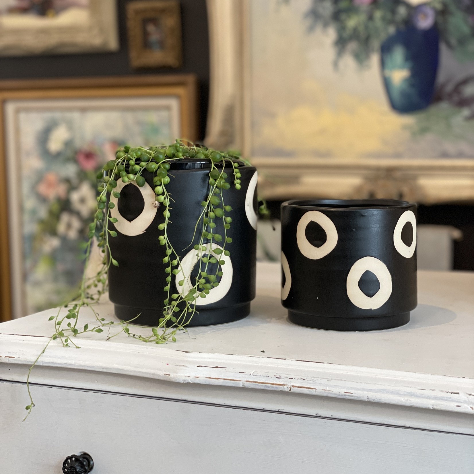 Lulu Black and White Cachepot Planter