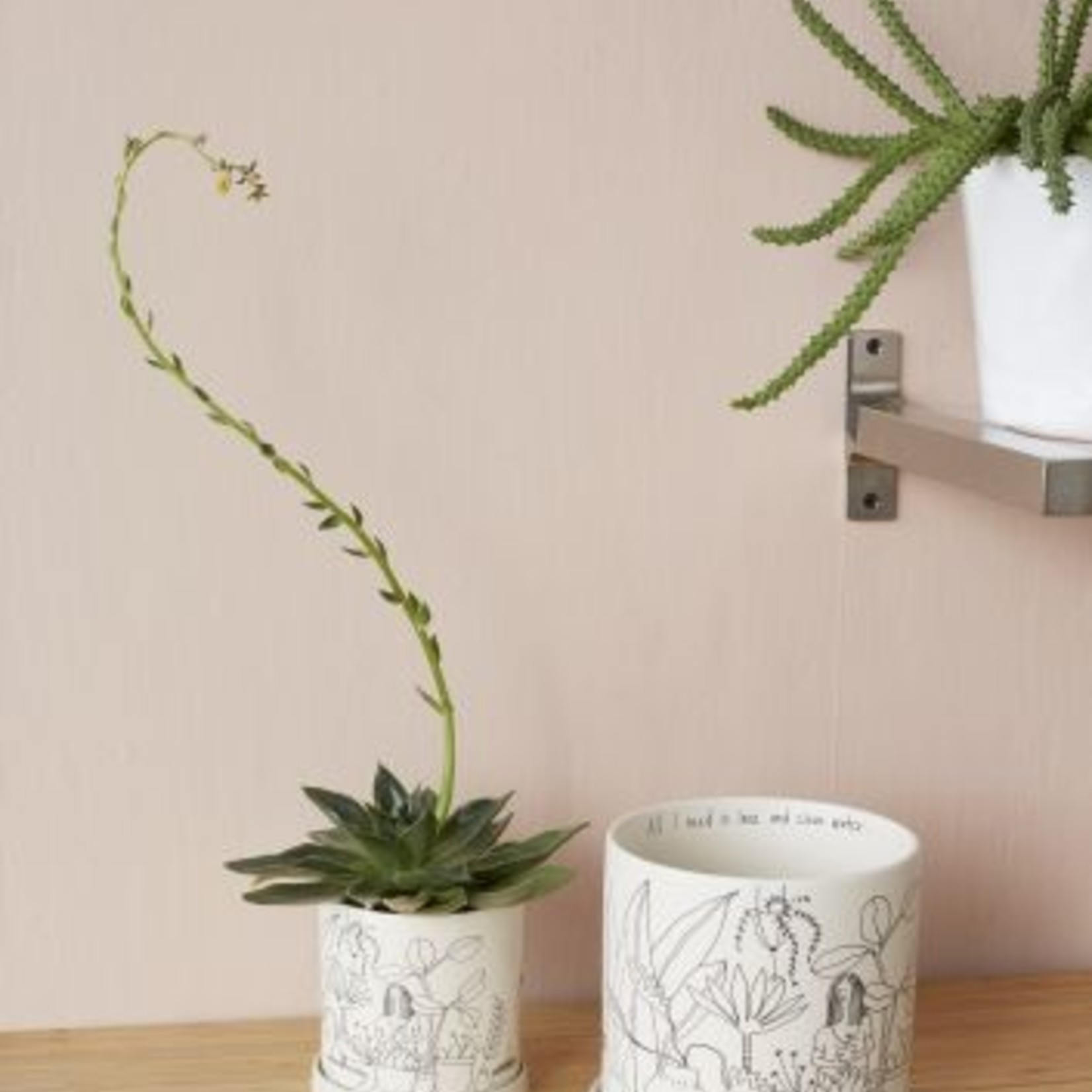 Plant Lady Pot Small