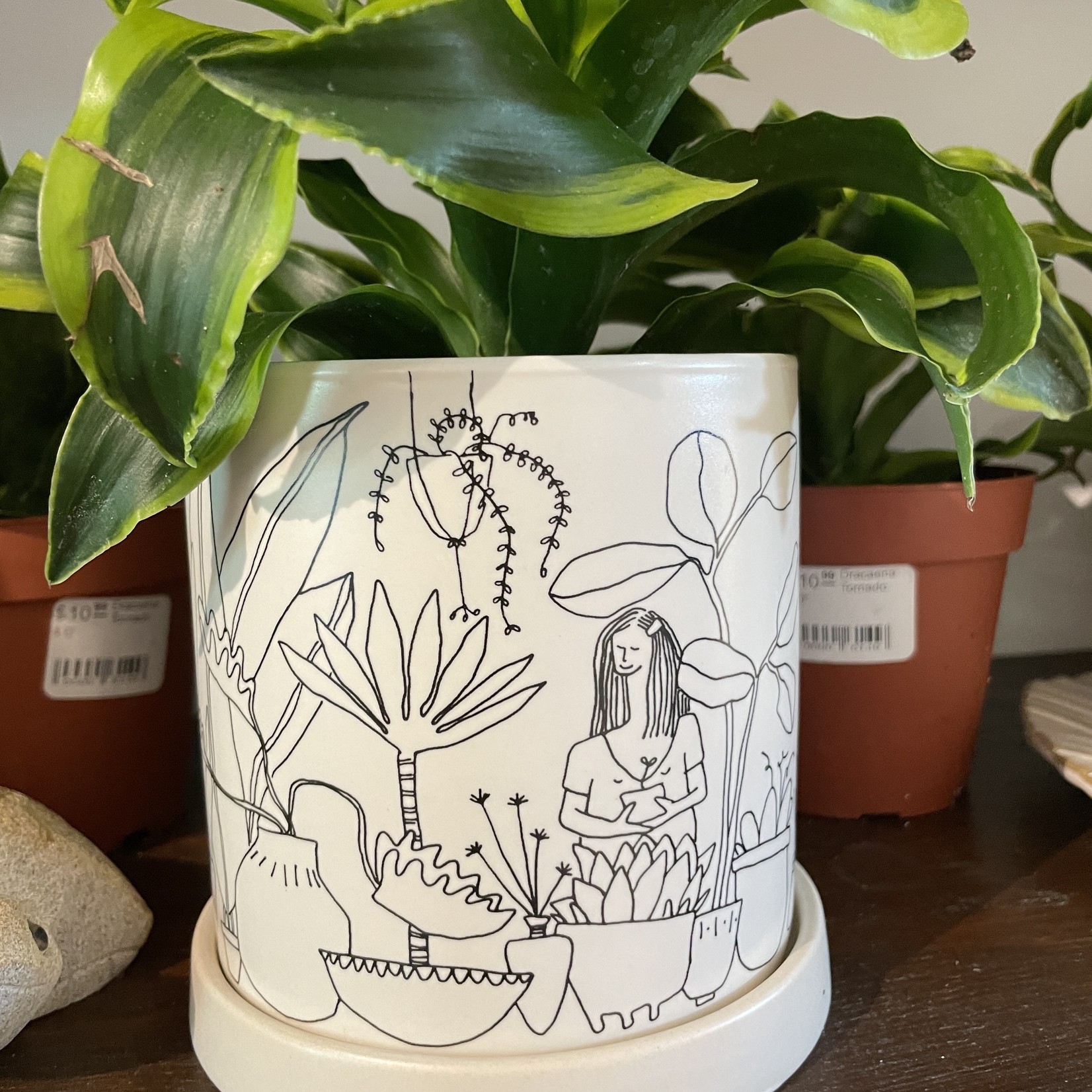 Plant Lady Pot