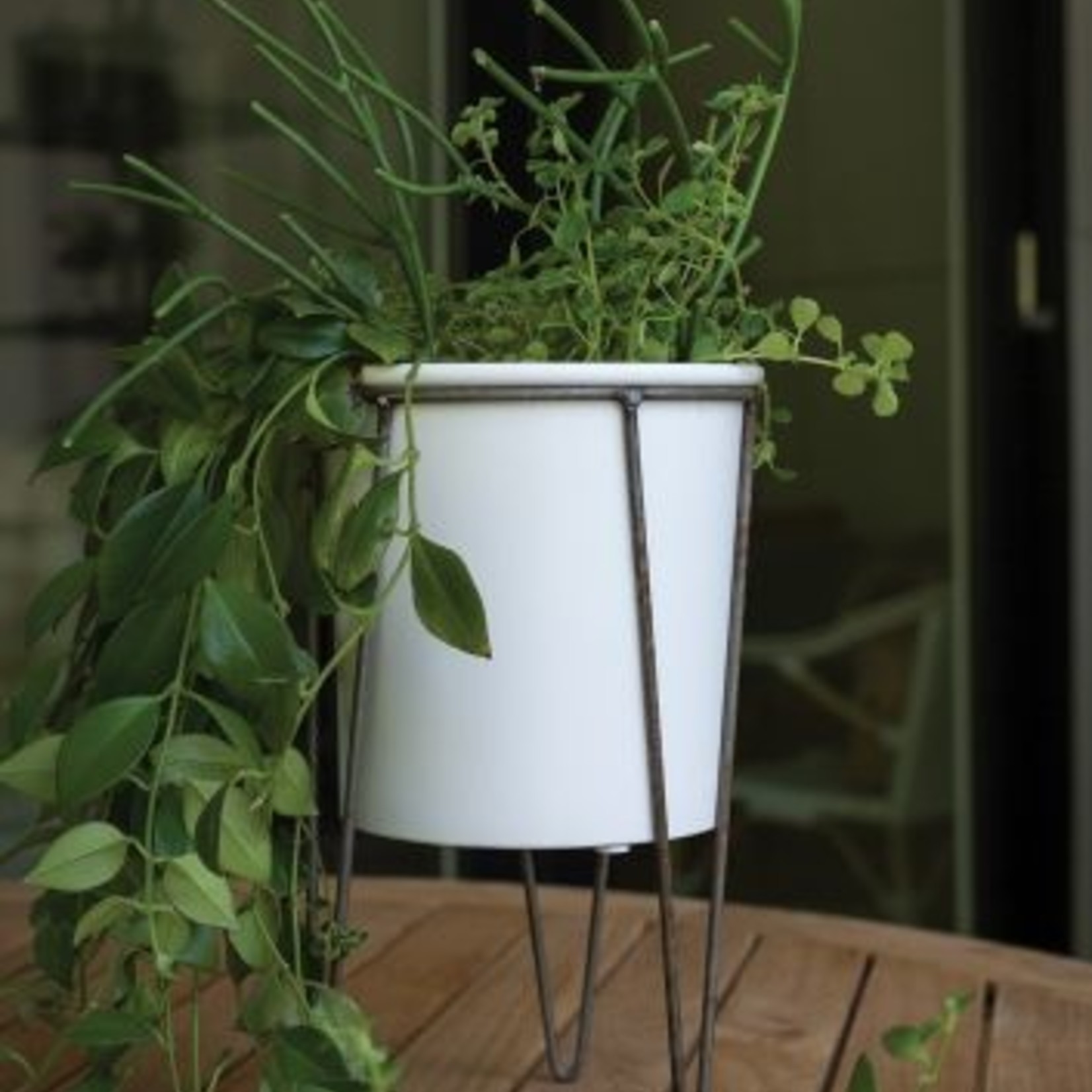 Cassa Plant Stand and Pot