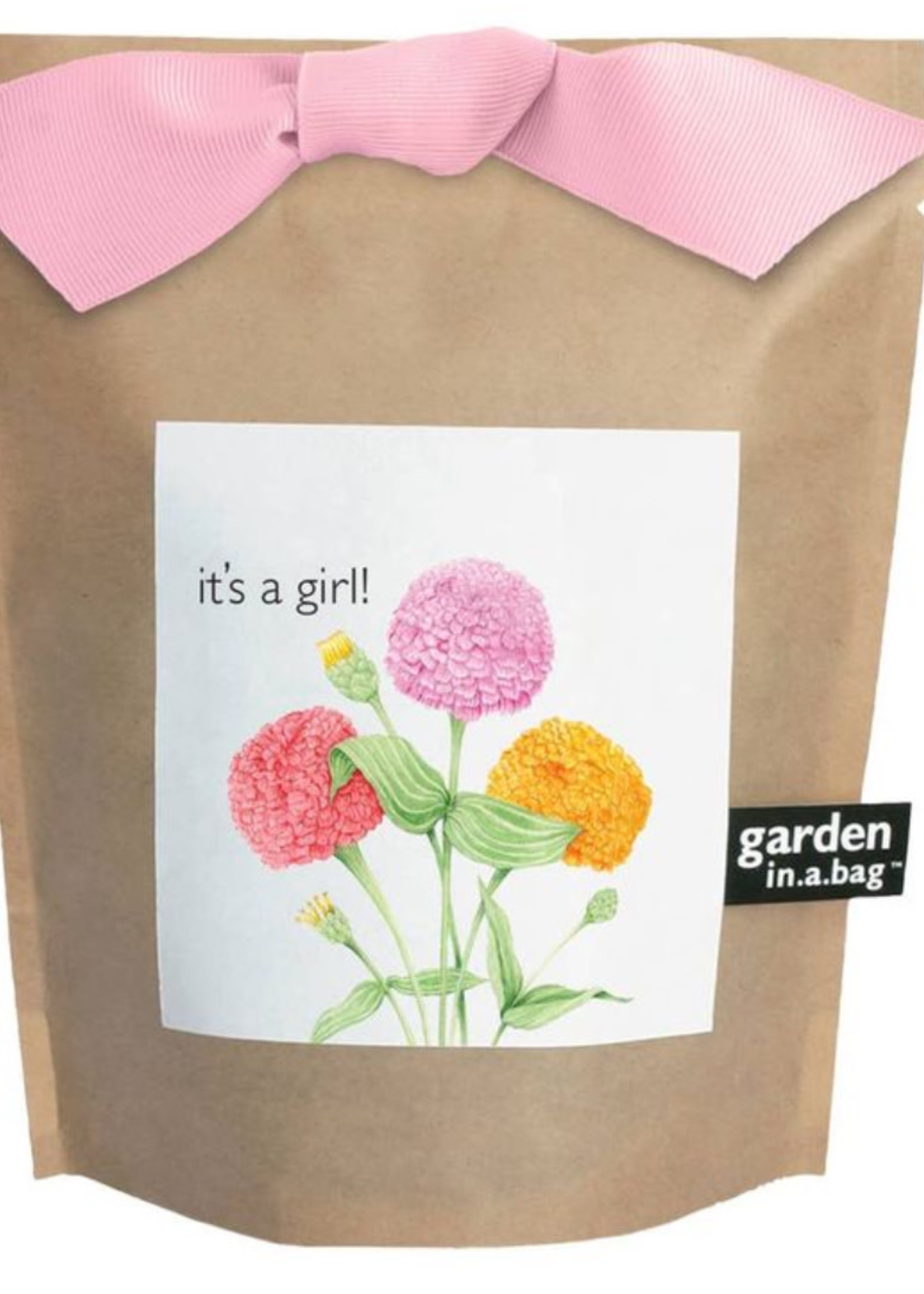 Potting Shed Garden in a Bag | It's a Girl