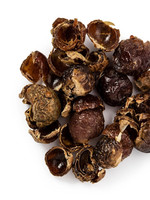 Organic Soap Nuts Sapindus mukorossi Deseeded