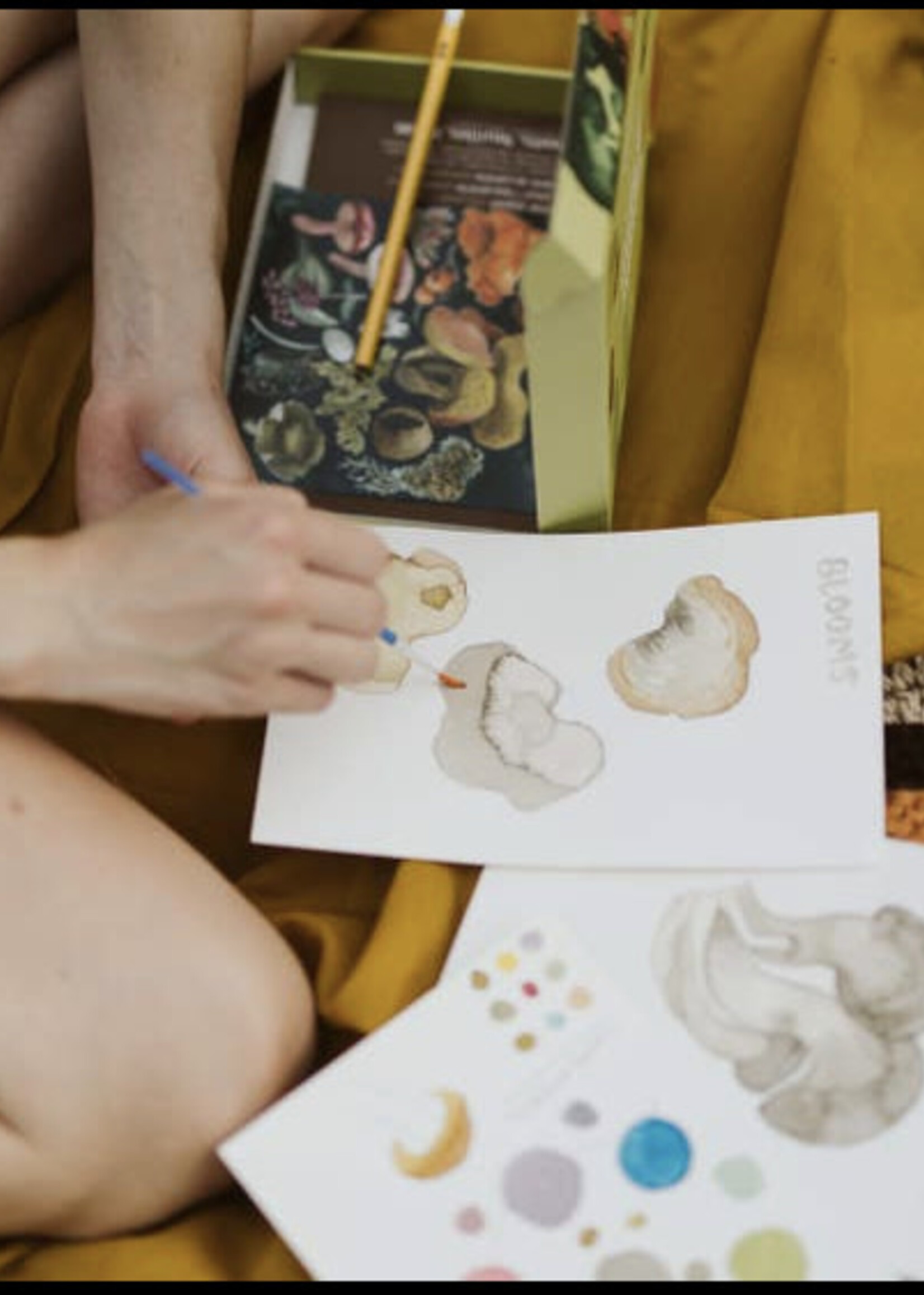 Fungi Watercolor for Beginners