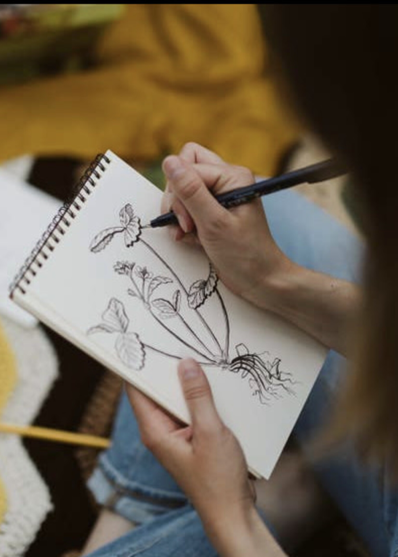 Botanical Drawing for Beginners