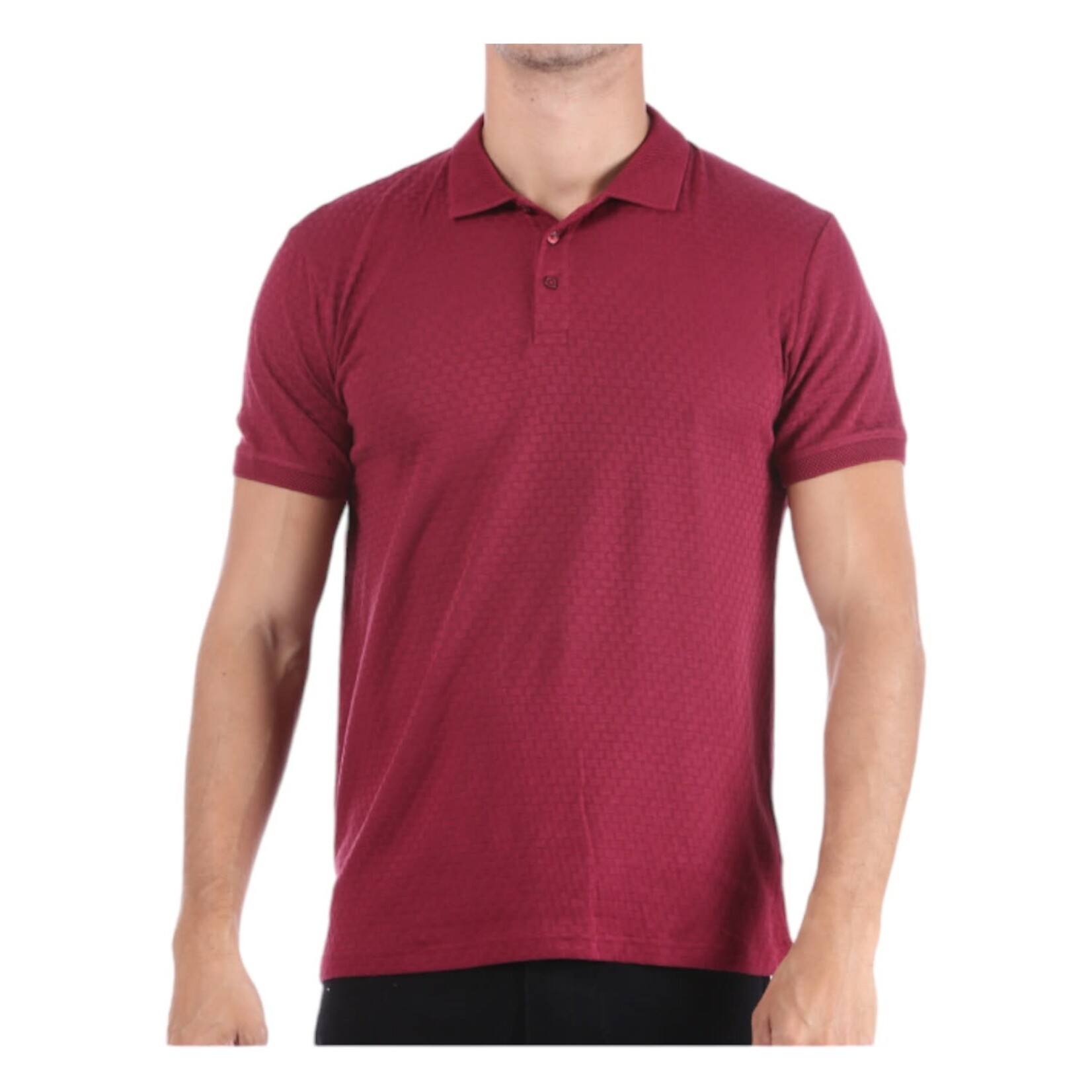 BANANA BLUE BANANA BLUE SELF PATTERN POLO JO-39463