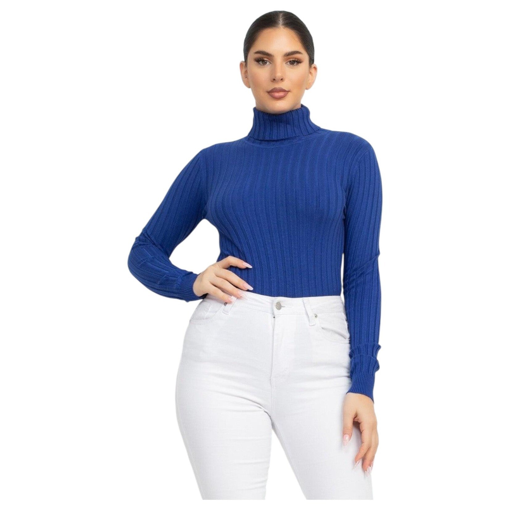 IRIS IRIS TURTLE NECK SWEATER HMSW50167RB