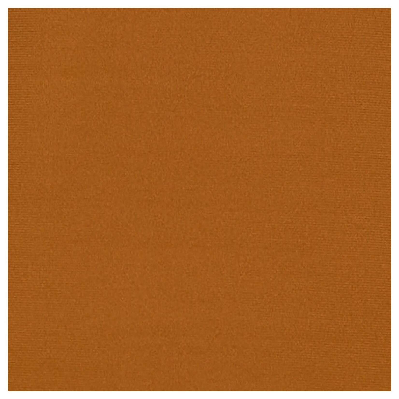 DNA DNA PLUS COLLARED SHORT SLEEVE TOP 3460XB-24076