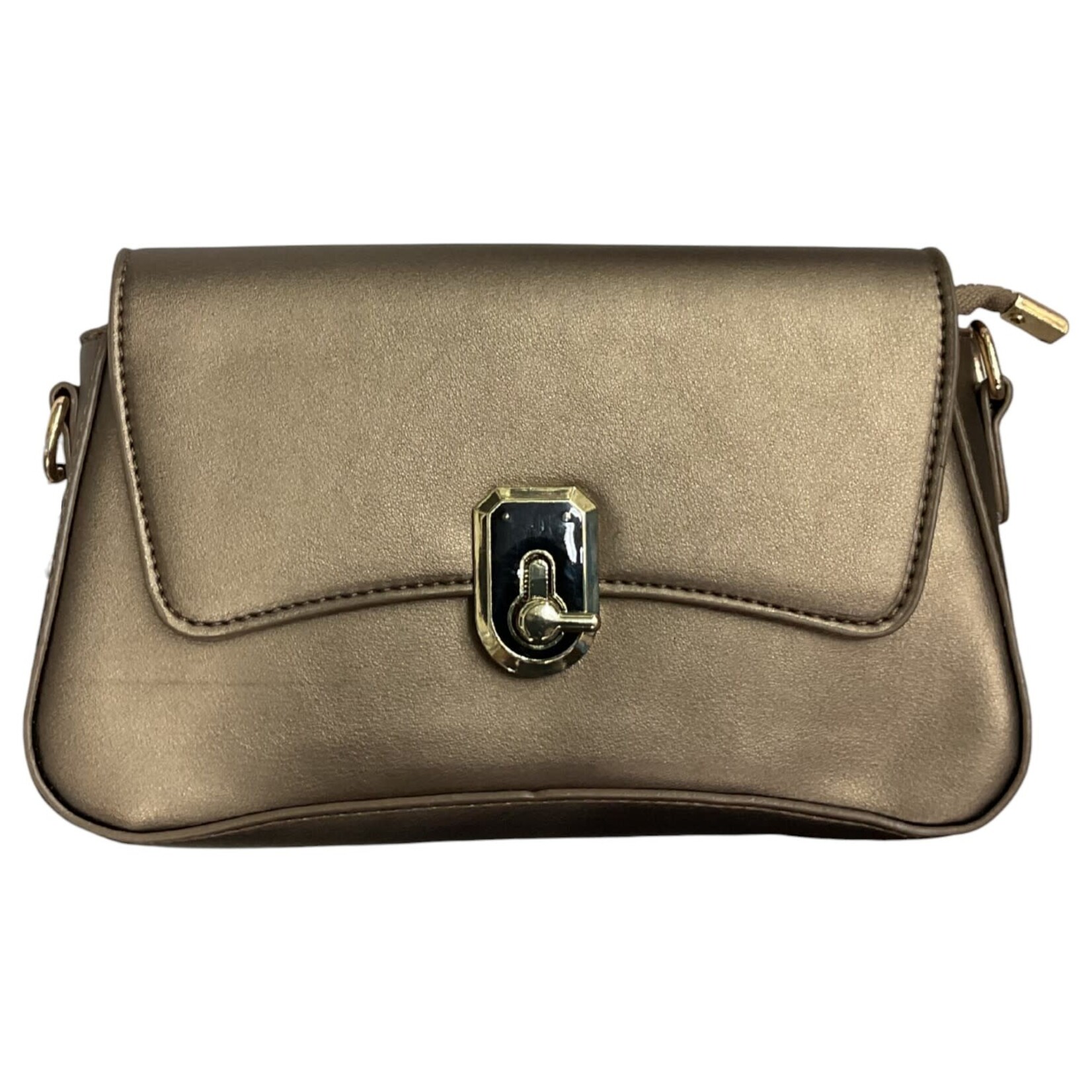 VANITY VANITY SMALL HANDBAG WITH BUCKLE SAMY 261