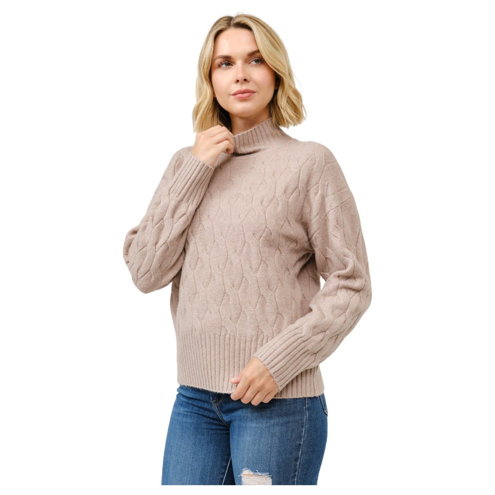 CIELO CIELO CABLE KNIT TURTLE NECK PULLOVER SWEATER SW723
