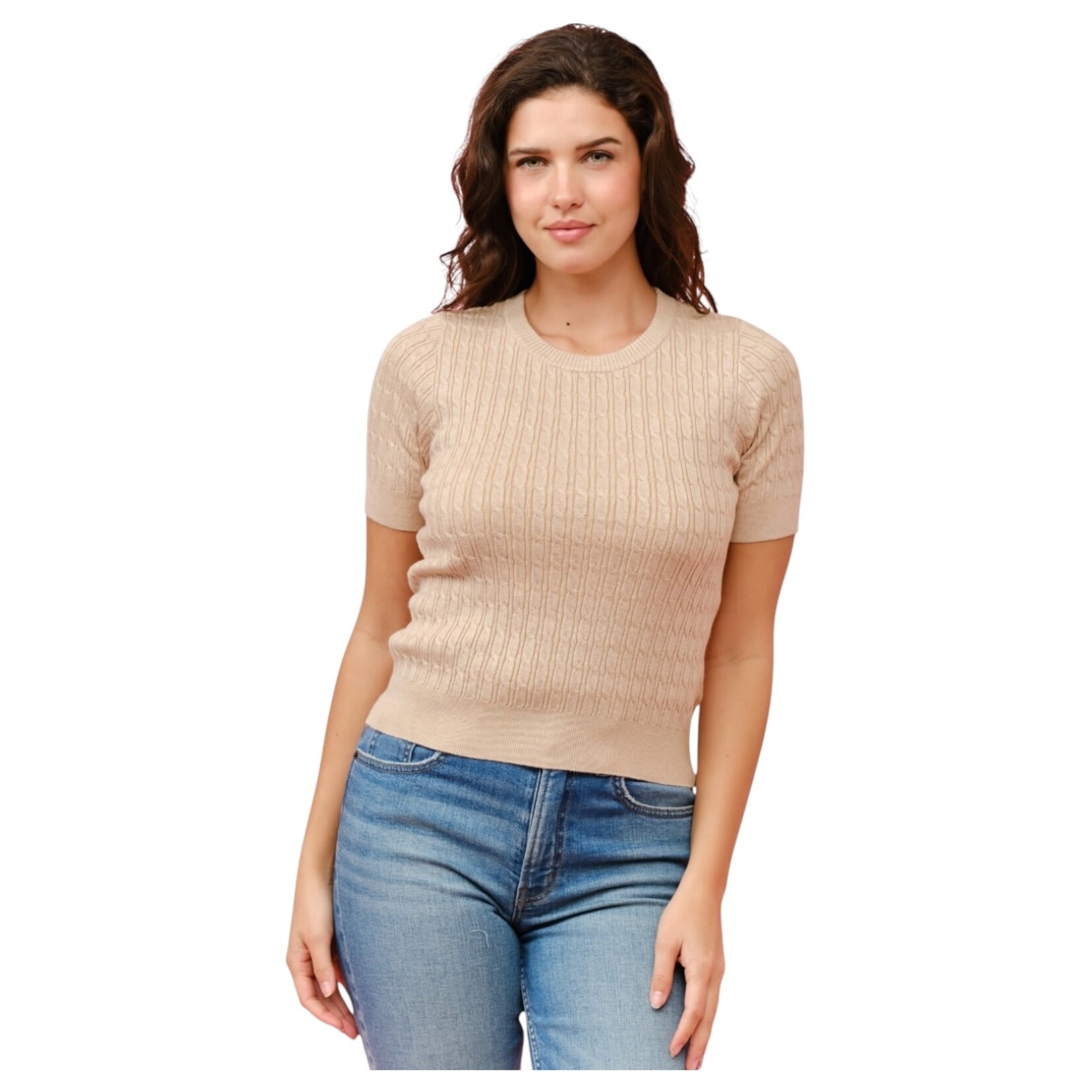 CIELO CIELO STRIPE TWISTED CABLE SHORT SLEEVE SWEATER SW413