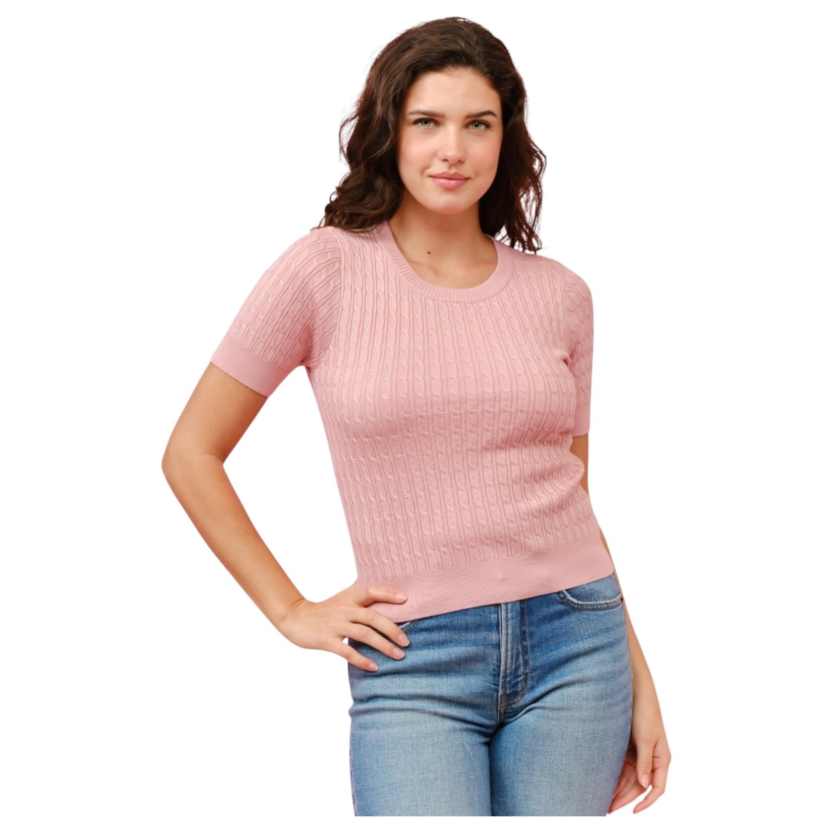 CIELO CIELO STRIPE TWISTED CABLE SHORT SLEEVE SWEATER SW413