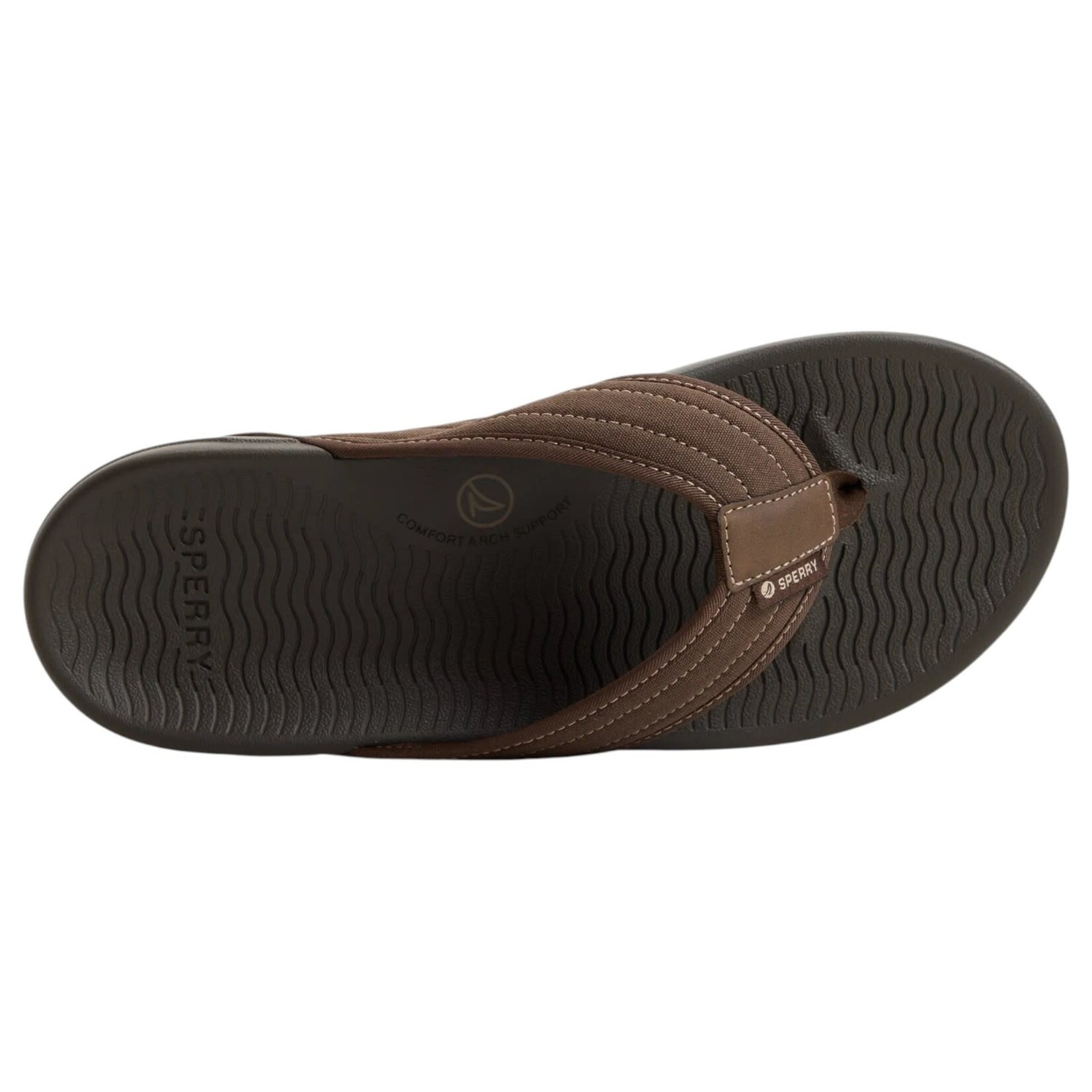 SPERRY FOOTWEAR SPERRY FOOTWEAR SANDAL VENTURA 14185957