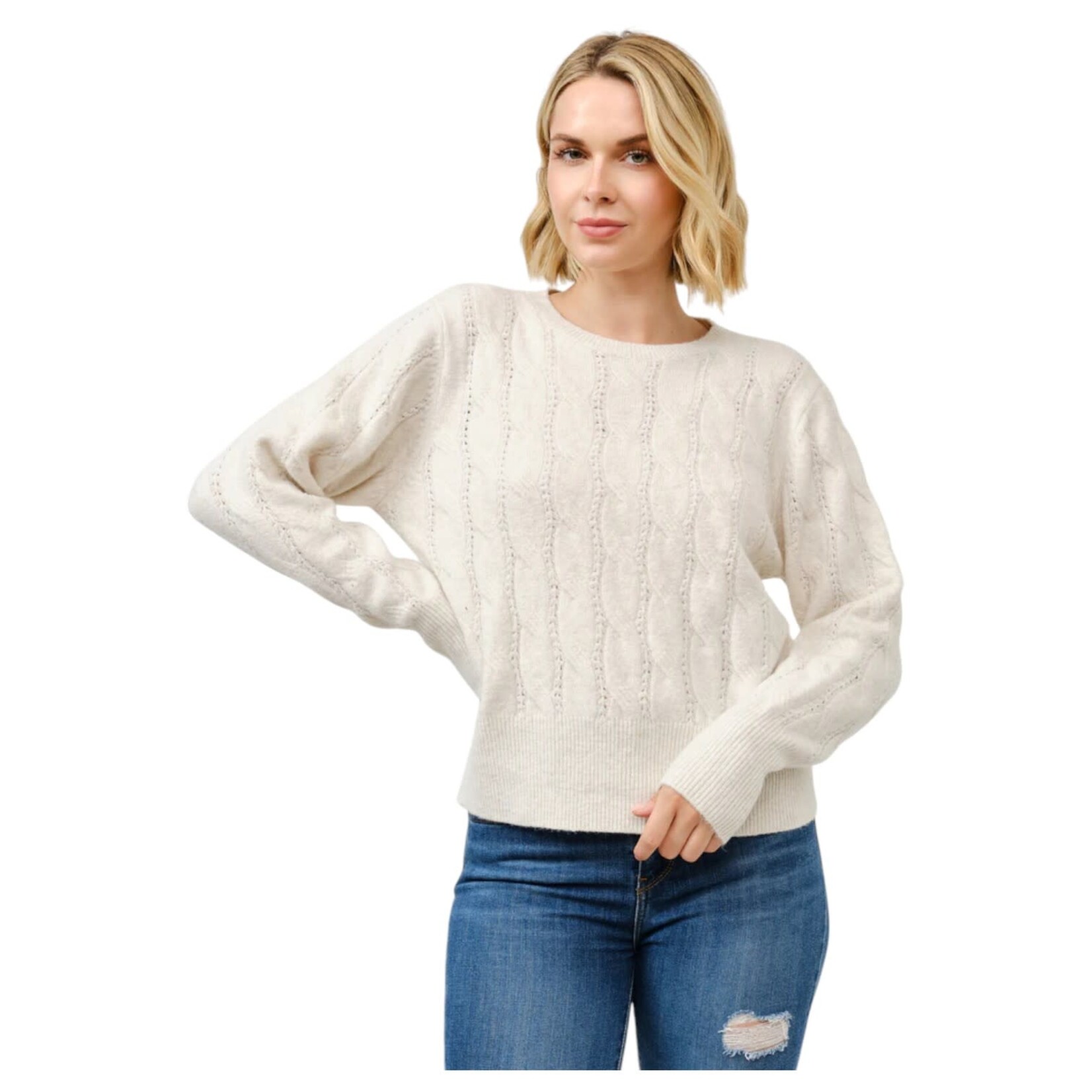 CIELO CIELO TEXTURED KNIT PULLOVER SWEATER SW716