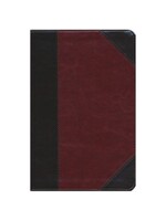 Crossway (ESV) English Standard Version Student Study Bible - TruTone - Portfolio Brown/Cordovan