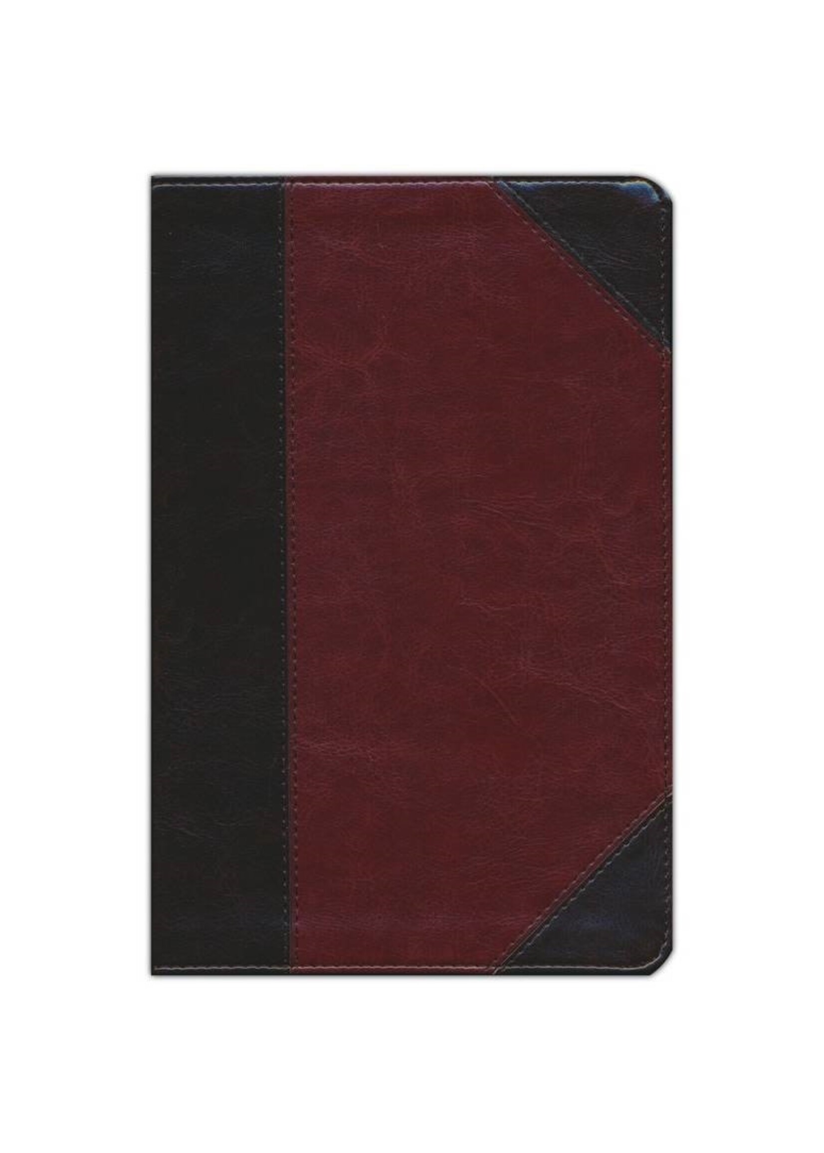 Crossway (ESV) English Standard Version Student Study Bible - TruTone - Portfolio Brown/Cordovan