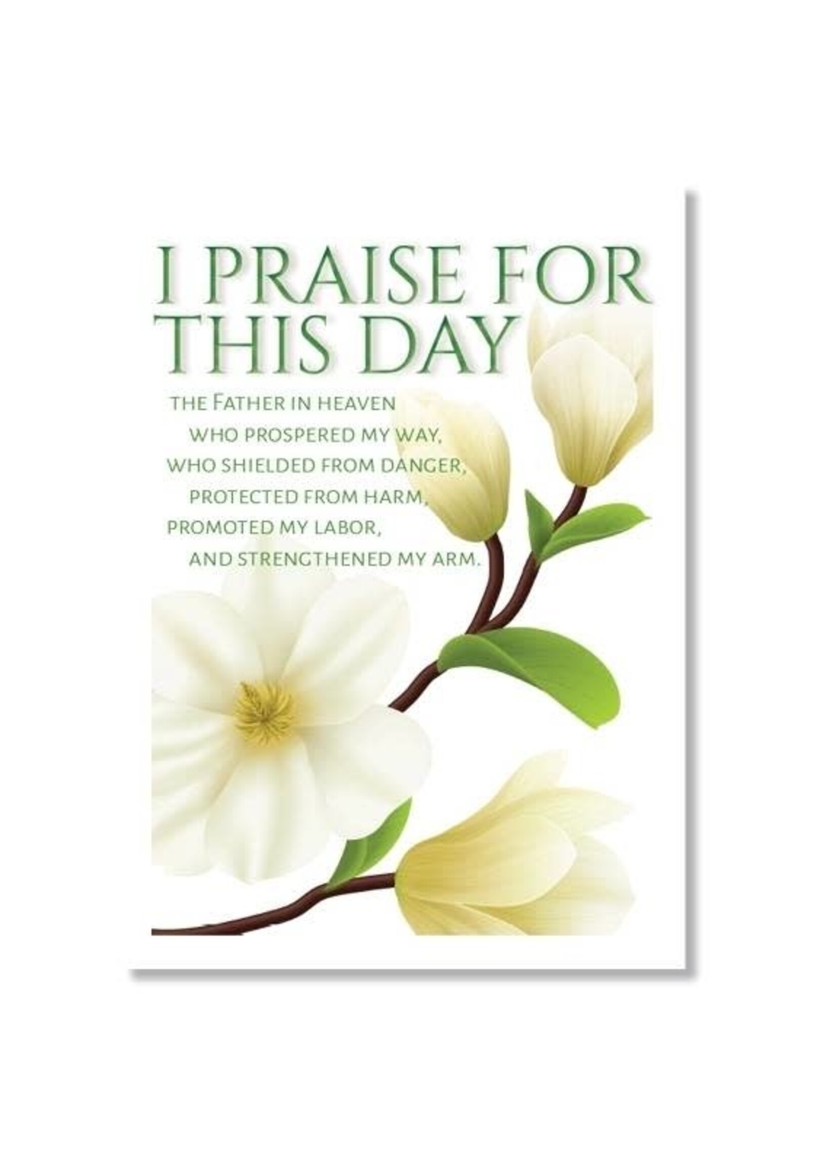 Hymns In My Heart - 5x7" Greeting Card - Thank You - I Praise For This Day
