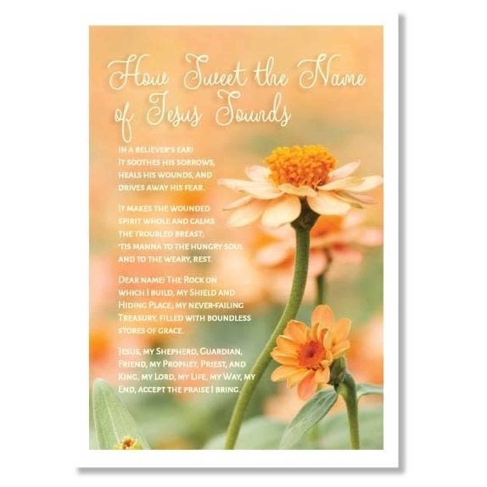 Hymns In My Heart - 5x7" Greeting Card - Thank You - How Sweet the Name