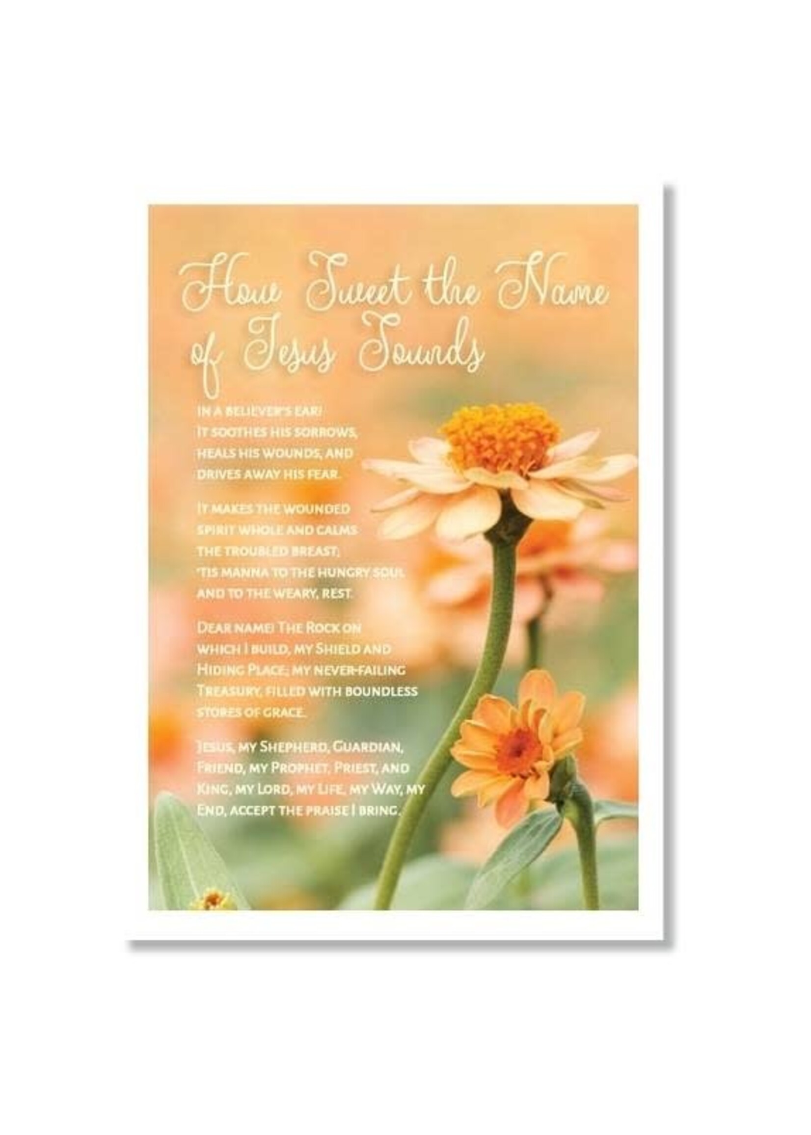 Hymns In My Heart - 5x7" Greeting Card - Thank You - How Sweet the Name