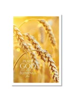 Hymns In My Heart - 5x7" Greeting Card - Wedding Anniversary - Praise God From Whom All Blessings Flow