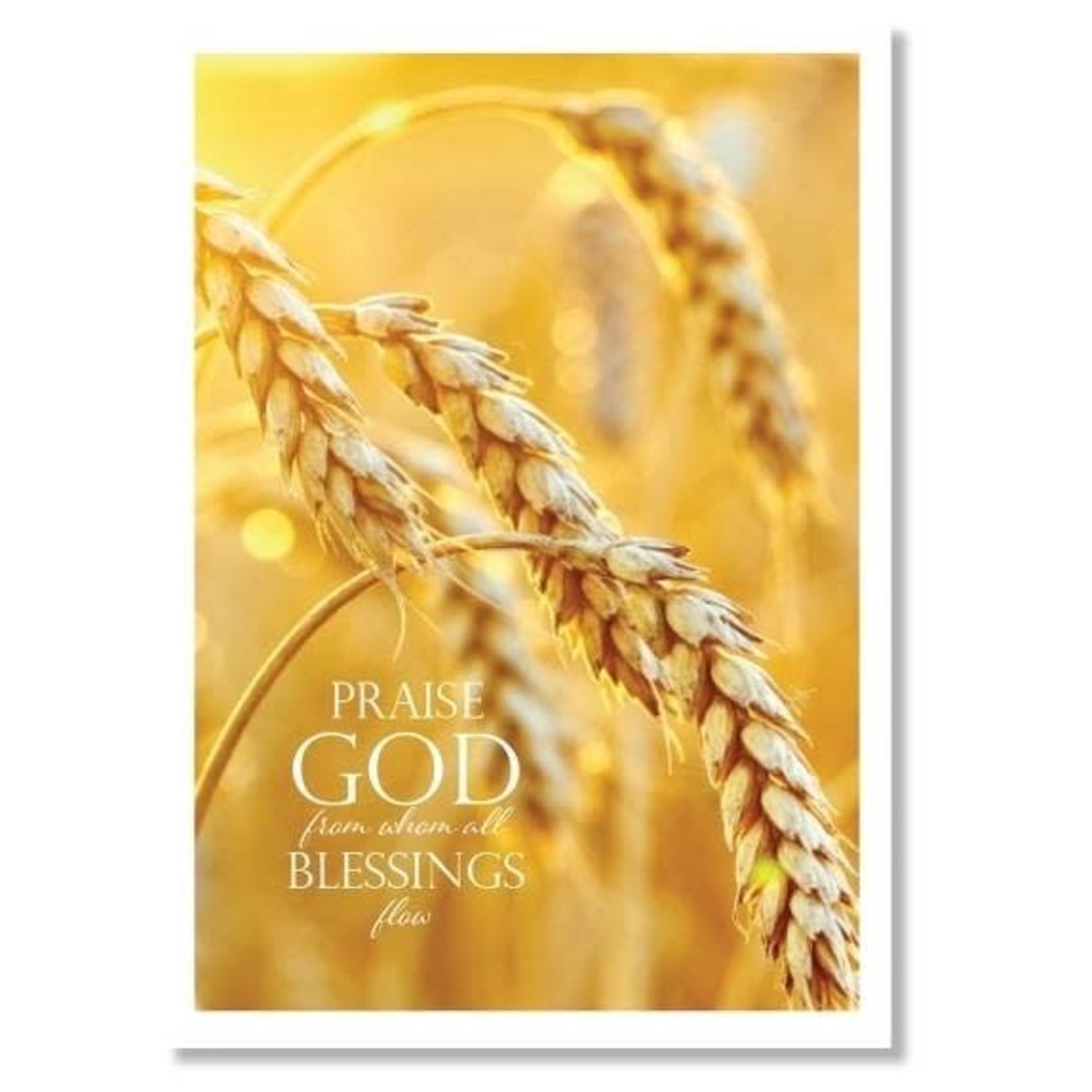 Hymns In My Heart - 5x7" Greeting Card - Wedding Anniversary - Praise God From Whom All Blessings Flow