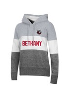 Champion Women's MTO Super Fan Blocked Sleeve Hoodie - Heather Grey/Granite Heather