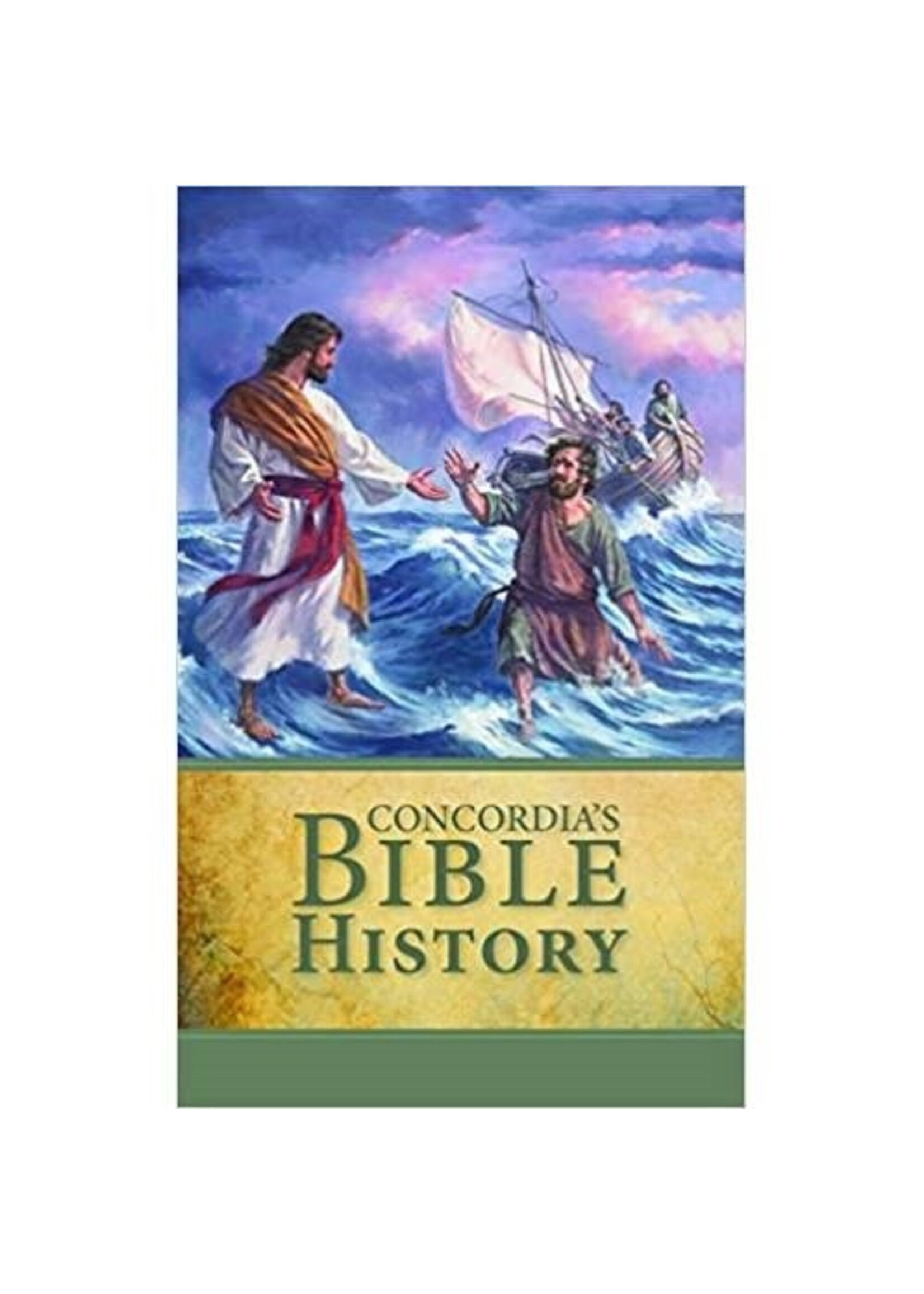 Concordia's Bible History Student Book
