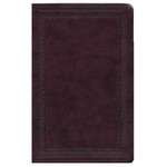 Crossway (ESV) English Standard Version Large Print Value Thinline Bible - TruTone - Mahogany with Border Design