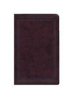 Crossway (ESV) English Standard Version Large Print Value Thinline Bible - TruTone - Mahogany with Border Design