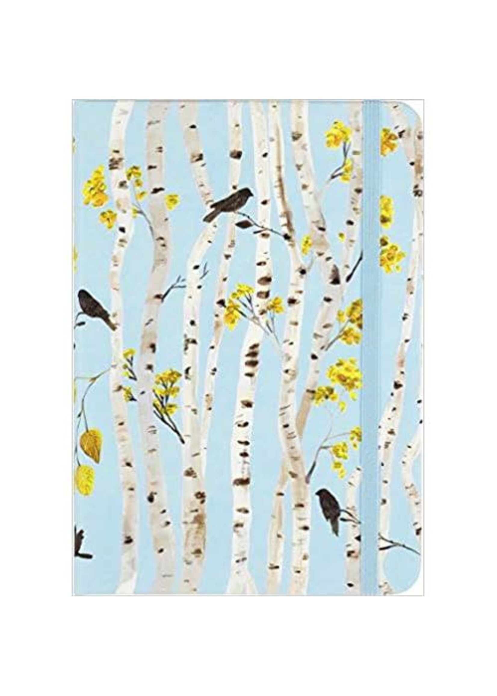 Birch Woods Journal / Diary / Notebook