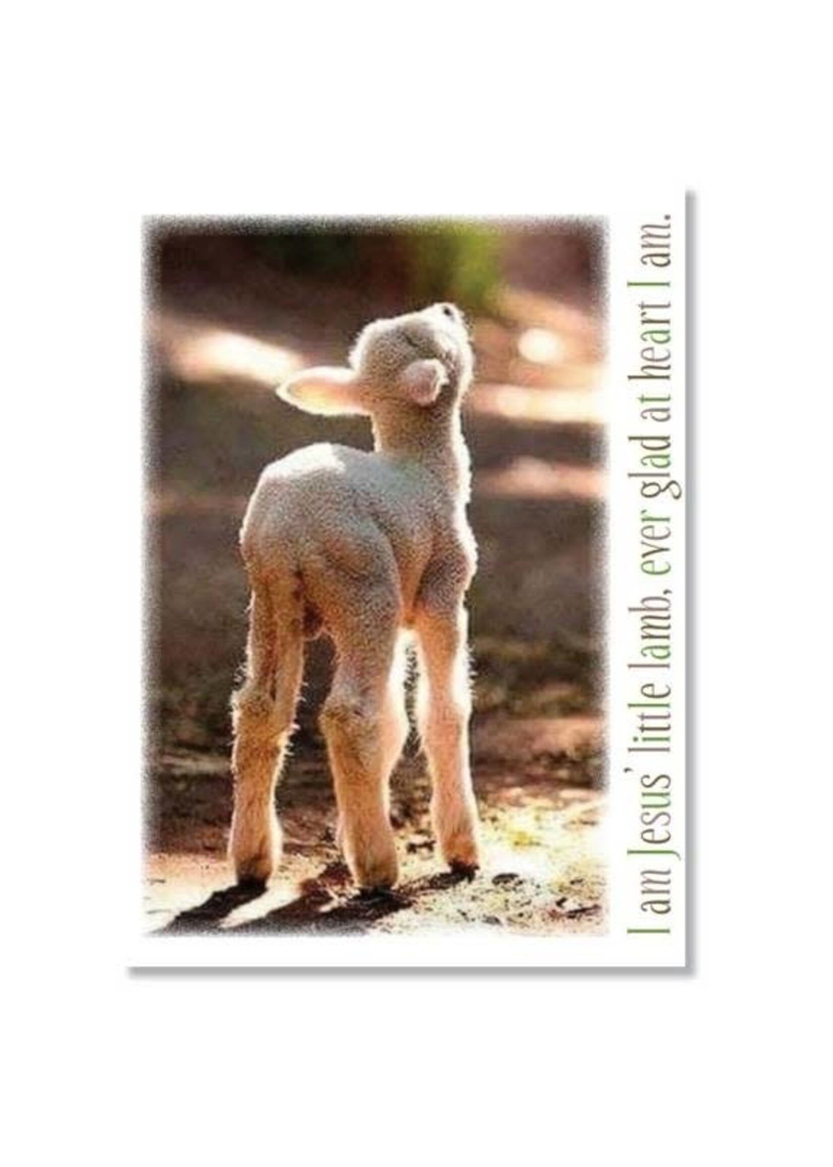 Hymns In My Heart - 5x7" Greeting Card - Sympathy - I Am Jesus' Little Lamb