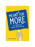 Meant For More - In, With, and Under the Ordinary