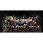 The Manger Christmas Postcard by Jason Jaspersen