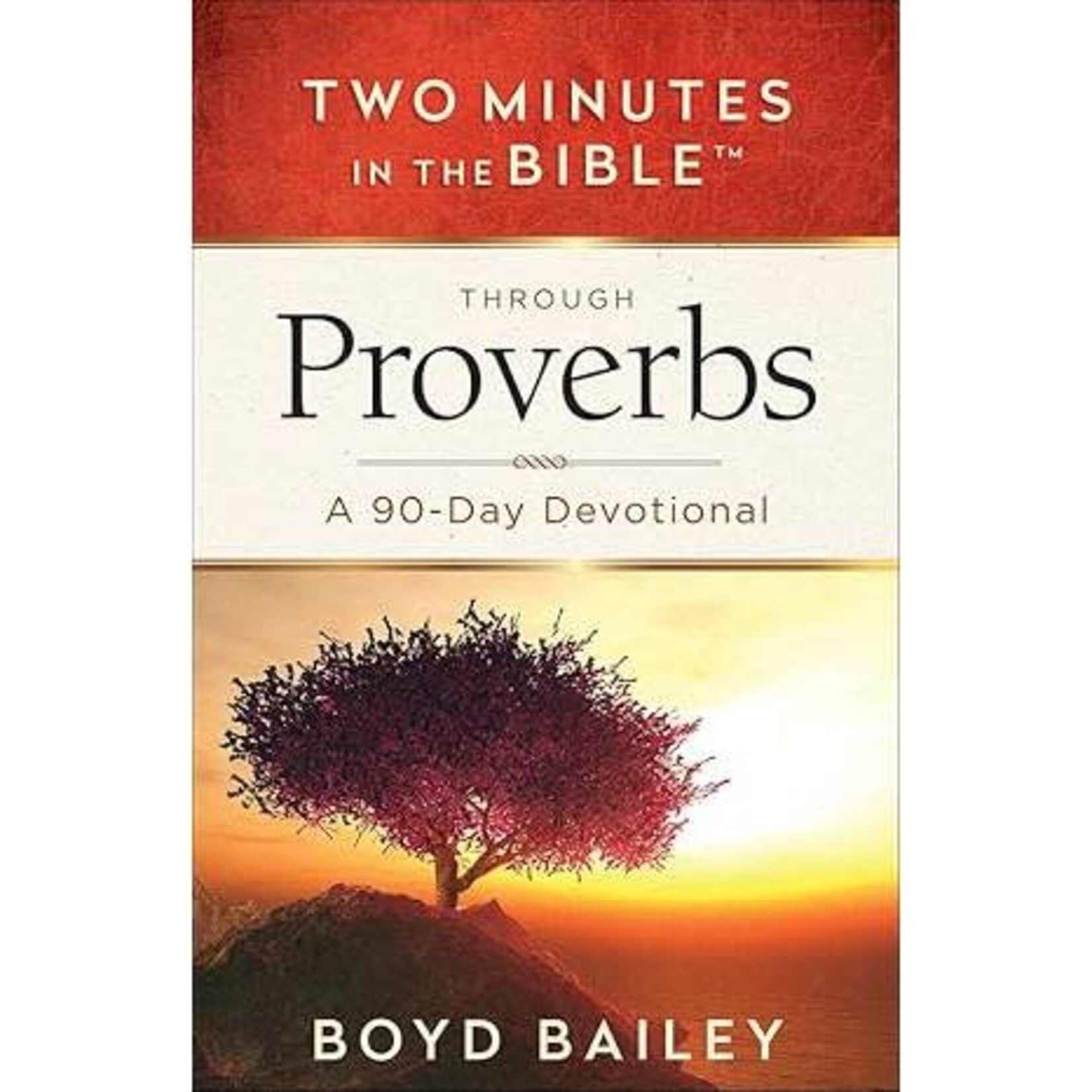 Two Minutes in the Bible Through Proverbs: A 90-Day Devotional