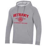 Champion Men's Triumph Fleece Raglan Hooded Sweatshirt - Heritage Grey