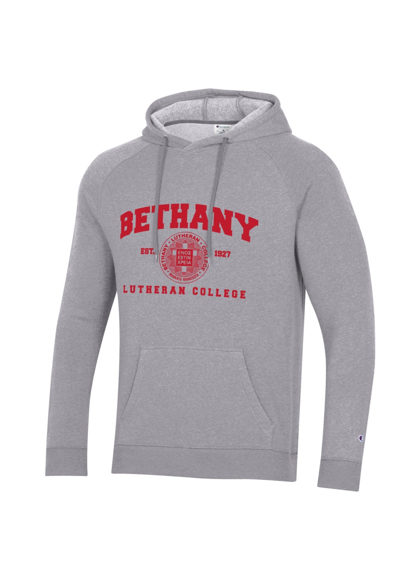 Champion Men's Triumph Fleece Raglan Hooded Sweatshirt - Heritage Grey