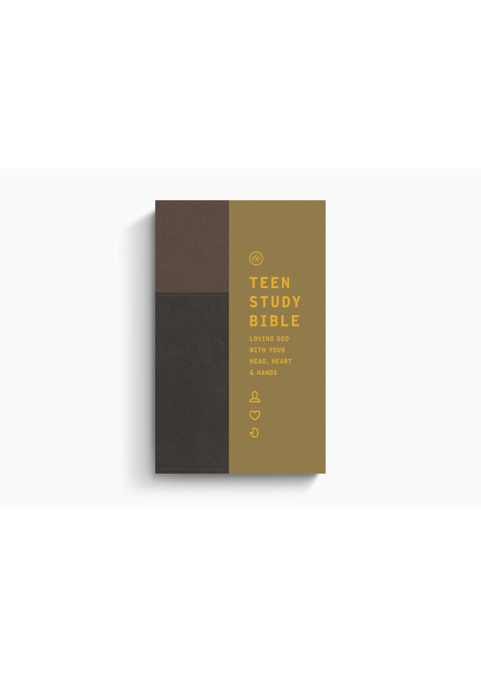 ESV Teen Study Bible - Trutone, Slate / Umber