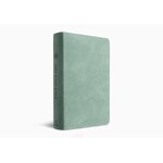 ESV Teen Study Bible - Trutone, Seaside Blue