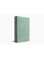 ESV Teen Study Bible - Trutone, Seaside Blue