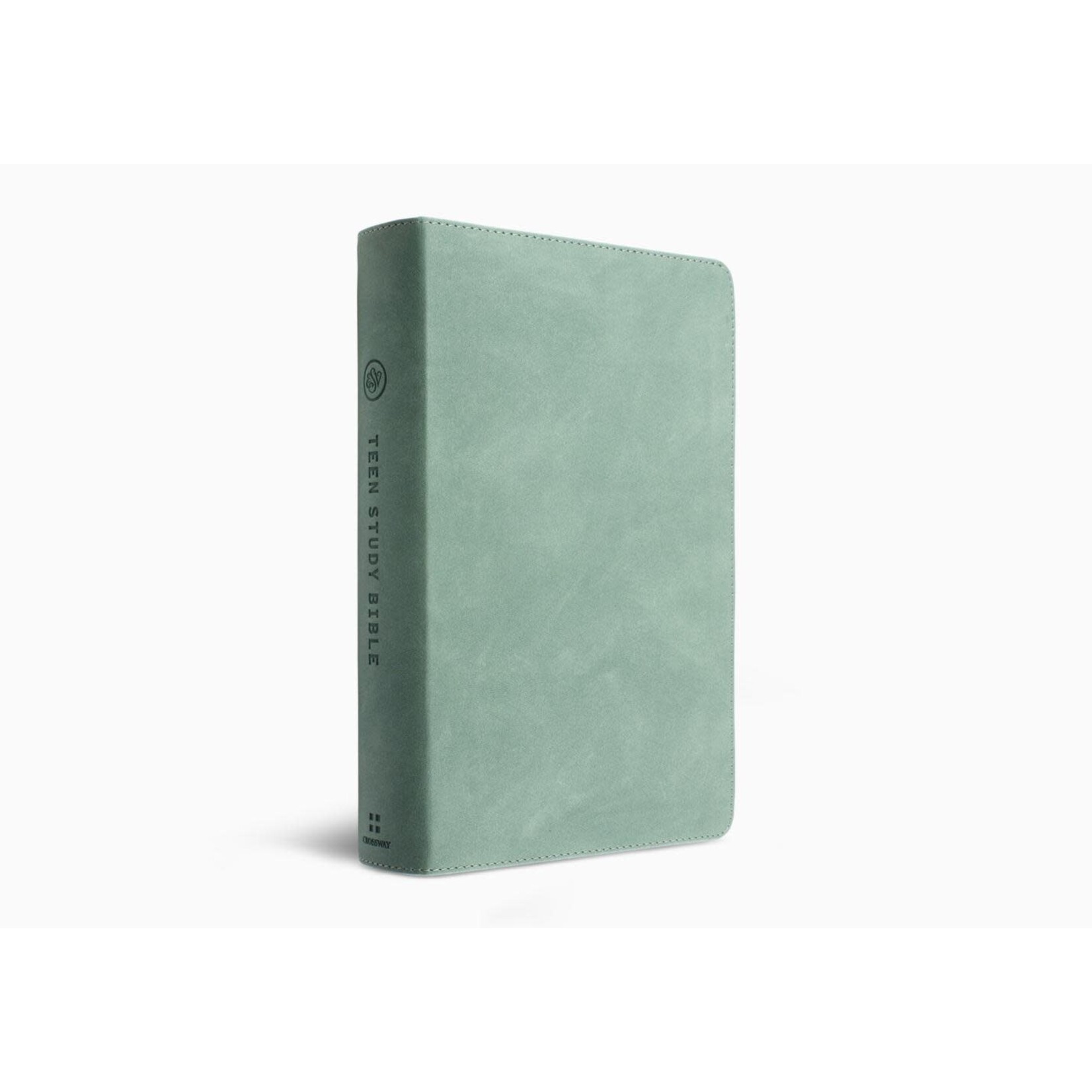 ESV Teen Study Bible - Trutone, Seaside Blue