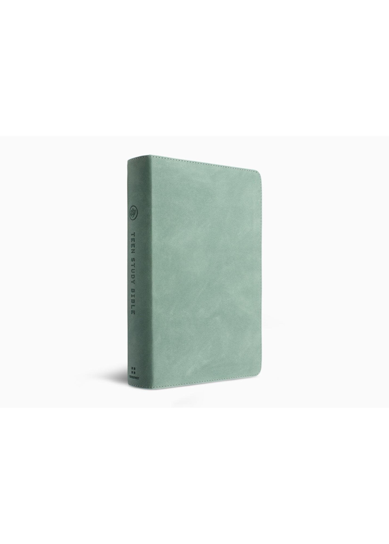 ESV Teen Study Bible - Trutone, Seaside Blue