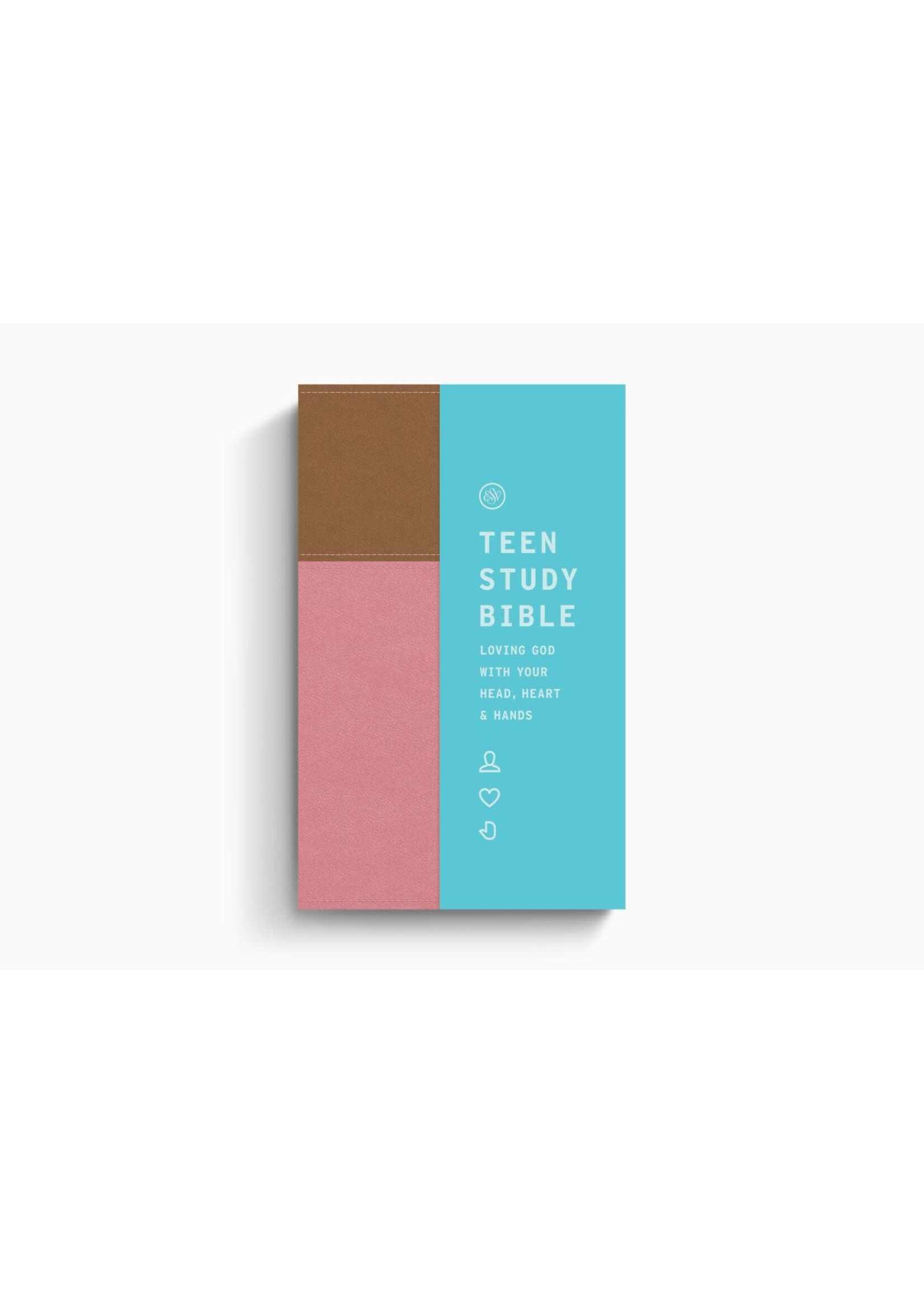 ESV Teen Study Bible - Trutone, Blush / Caramel