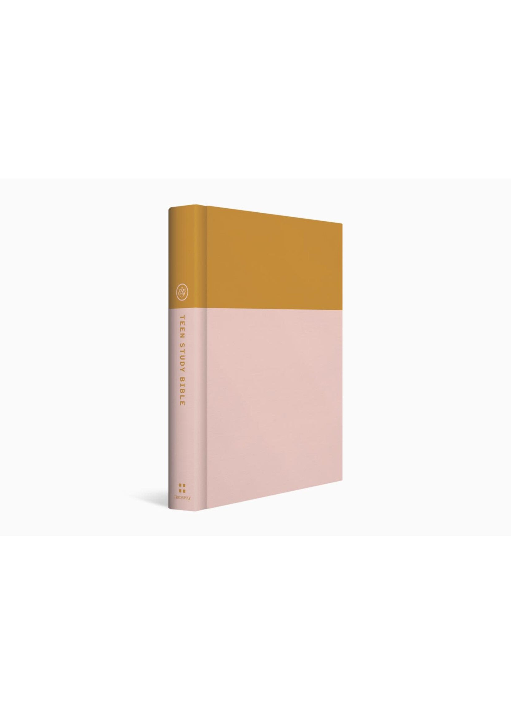 ESV Teen Study Bible - Hardcover, Desert Sun