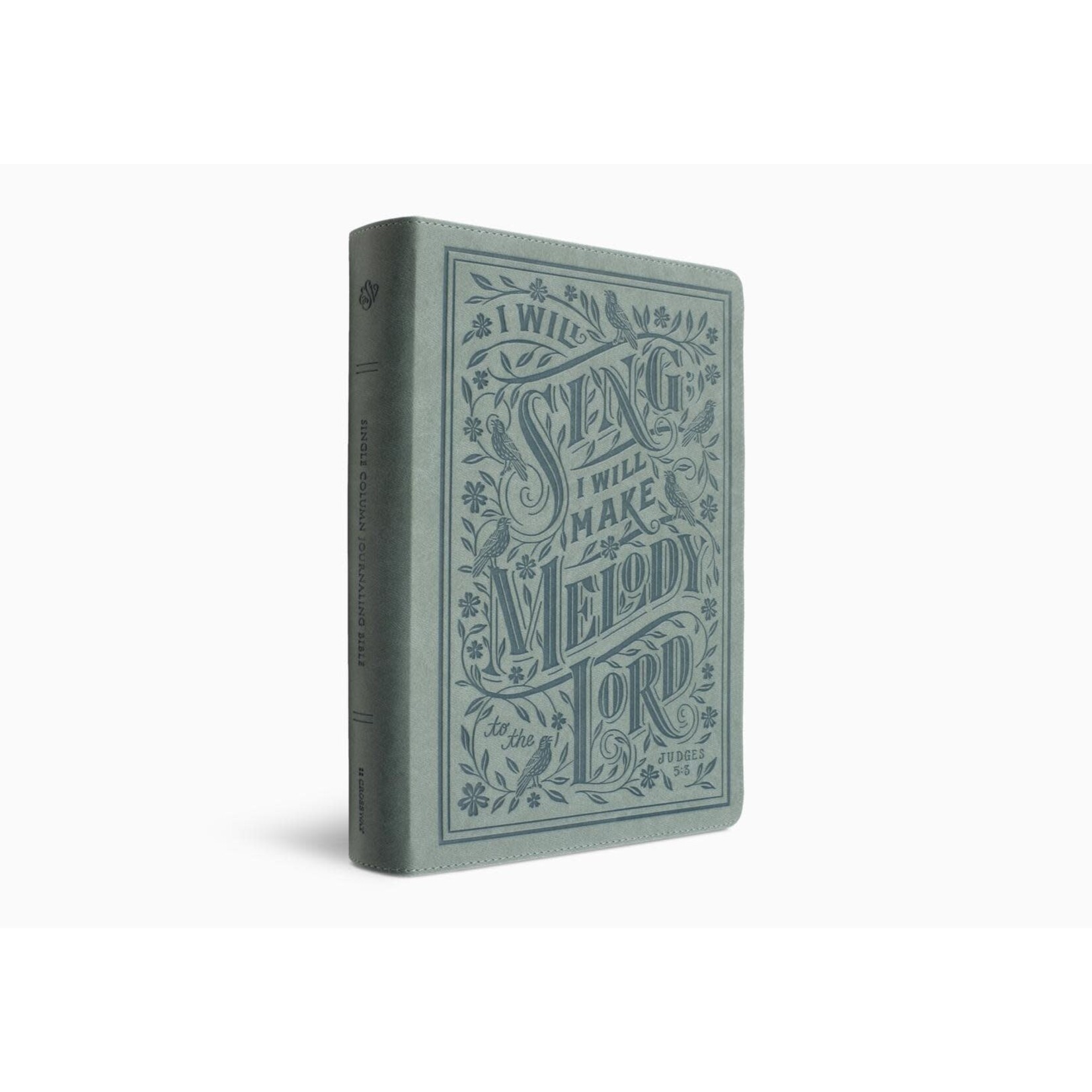 ESV Single Column Journaling Bible, Large Print - TruTone, Paris sky, Judges 5:3 Design
