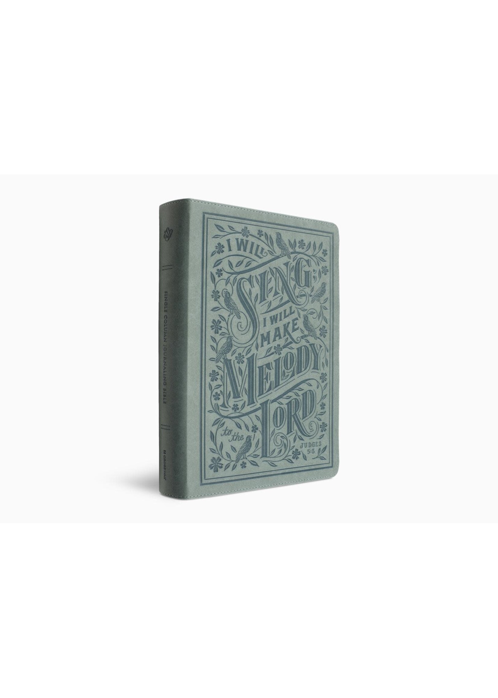 ESV Single Column Journaling Bible, Large Print - TruTone, Paris sky, Judges 5:3 Design