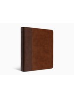 ESV Journaling Bible - TruTone, Brown/Tan