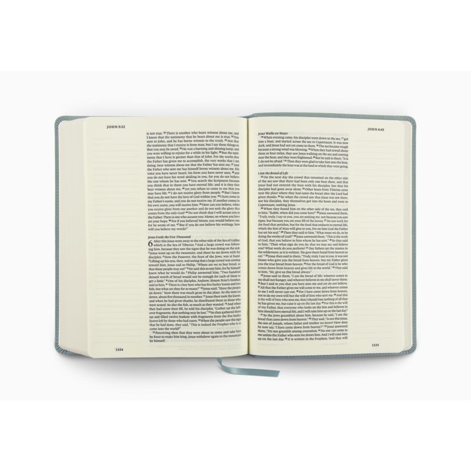 ESV Single Column Journaling Bible, Large Print - TruTone, Paris sky, Judges 5:3 Design