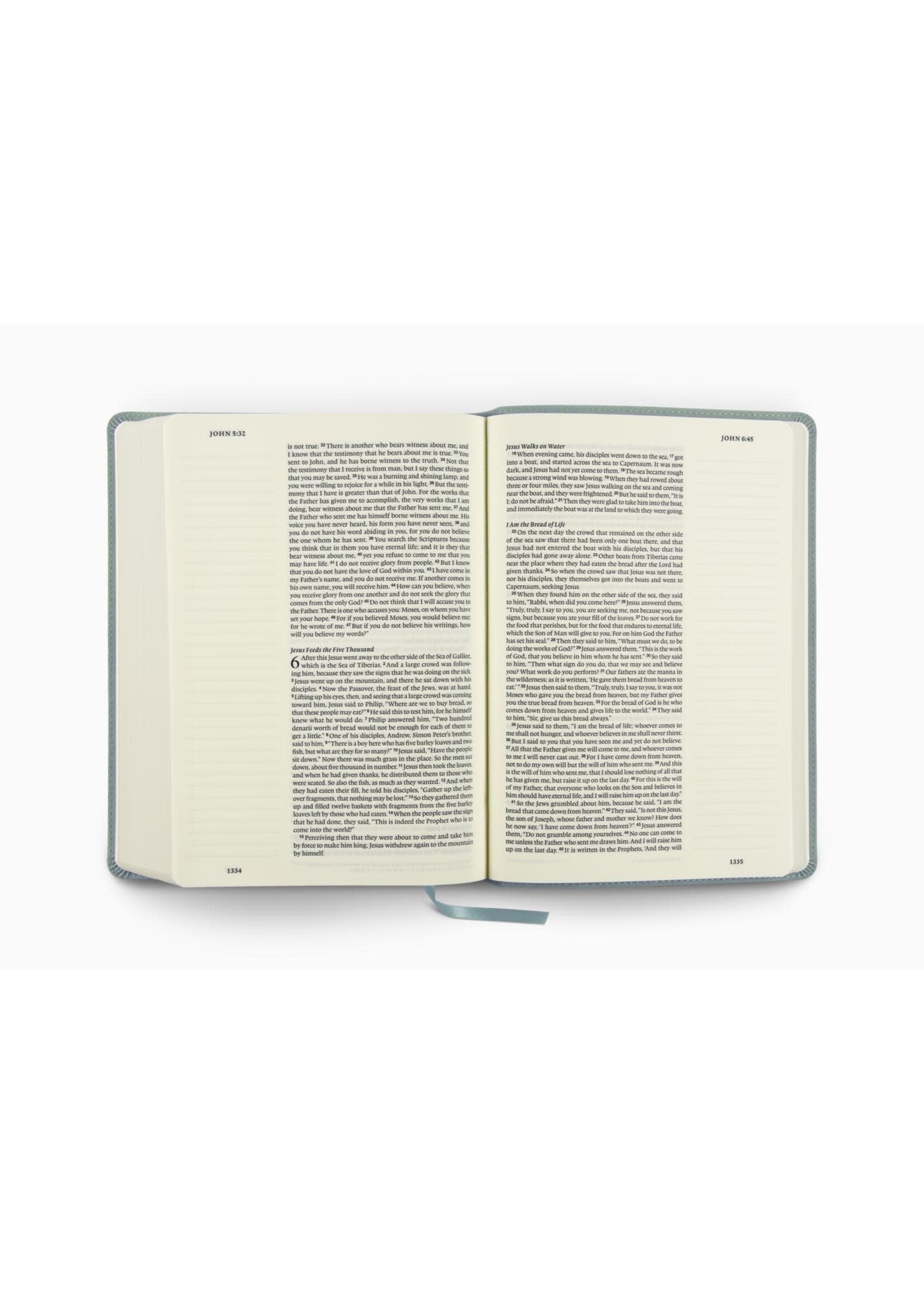 ESV Single Column Journaling Bible, Large Print - TruTone, Paris sky, Judges 5:3 Design