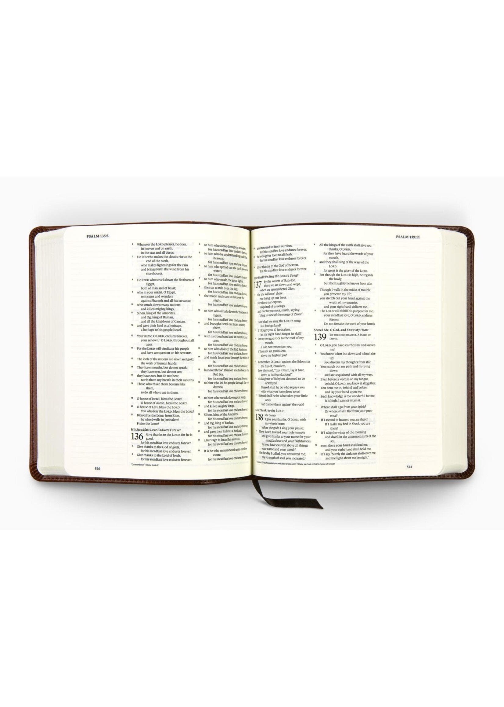 ESV Journaling Bible - TruTone, Brown/Tan