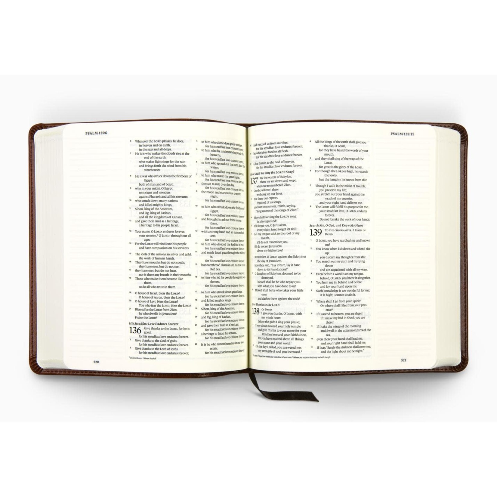 ESV Journaling Bible - TruTone, Brown/Tan